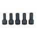 Набор торцевых головок 3/4"DR  E18 / E20 / E24 / 17 мм/19 мм 12-гр. Для болтов ГБЦ MAN (AN040264)